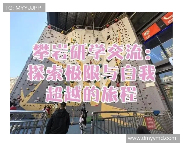 成都攀岩队速度对比深度解析与训练策略探讨