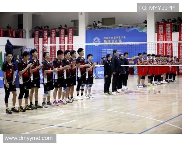 排球意识排行榜揭晓西安排球队荣登榜首引发热议