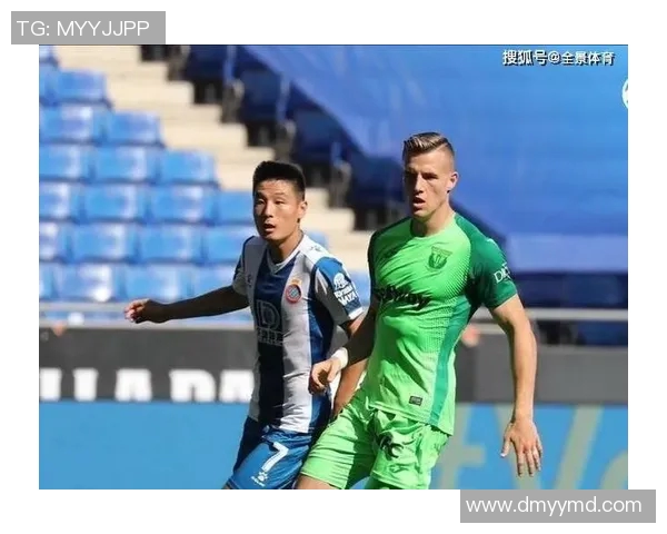 深圳篮球队的节奏揭秘：从战术到激情的全景探讨