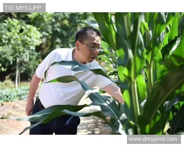 尼日利亚与乌干达激战正酣谁将赢得这场足球盛宴 尼日利亚与乌干达激战正酣谁将赢得这场足球盛宴