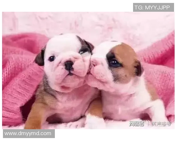 德国与巴西足球对决的幽默段子大集合，笑声不断的精彩时刻回顾